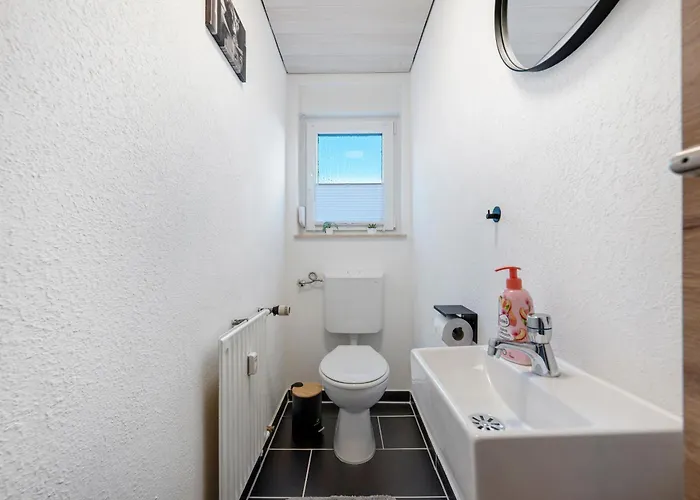 Schaefer פרוידנשטאדט